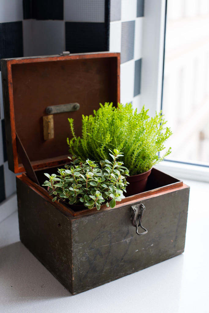 2026年泰国曼谷国际农业展览会